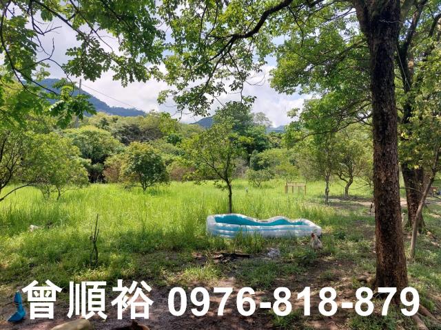 新竹農地-6