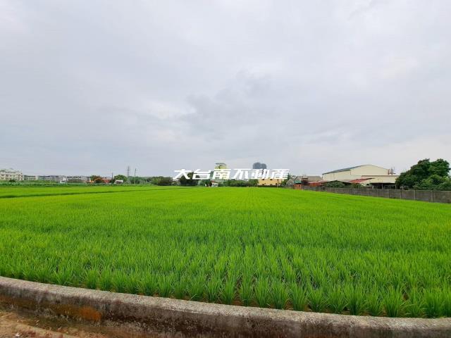 台南善化農地-0