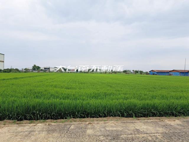 台南善化農地-2