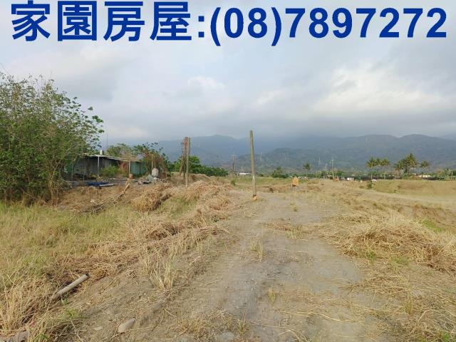 新埤農地-3