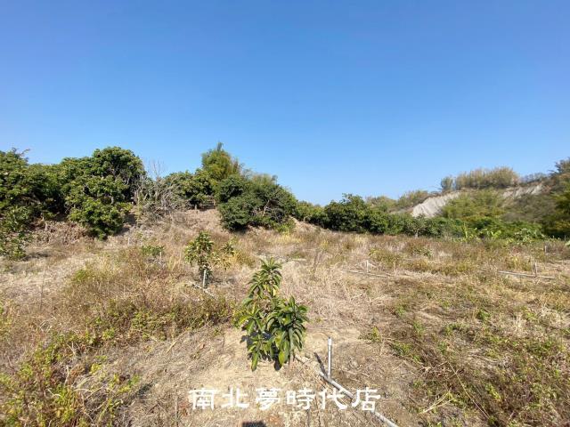 左鎮農地-2