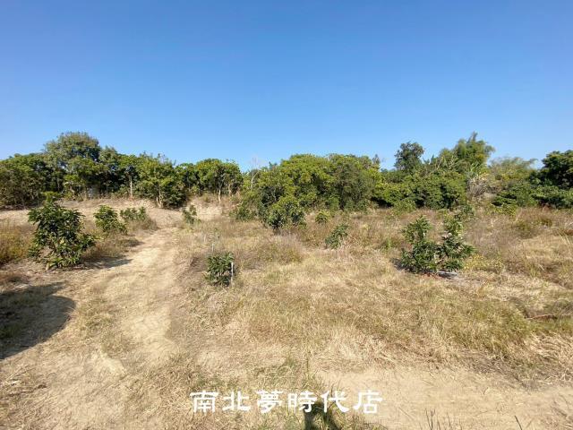 左鎮農地-6