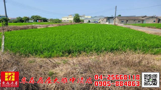 大雅農地-8