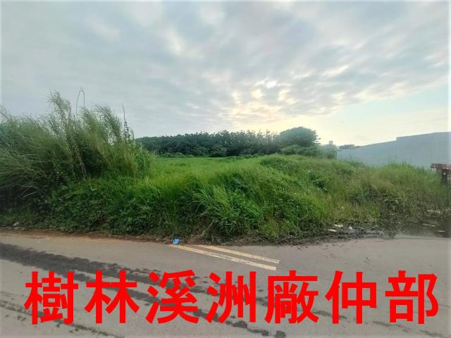 桃園新屋農地-0