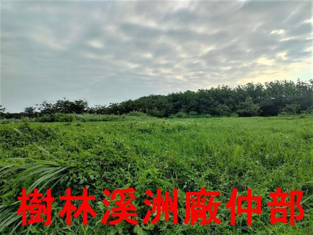 桃園新屋農地-4