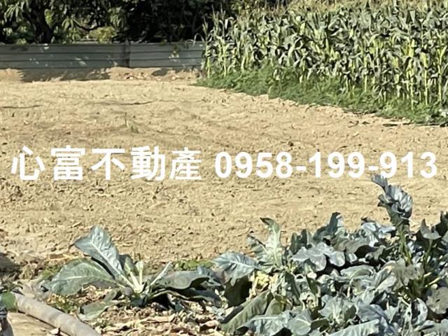 岡山農地-0
