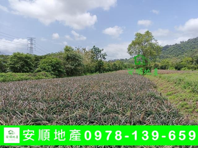 鹿野農地-0