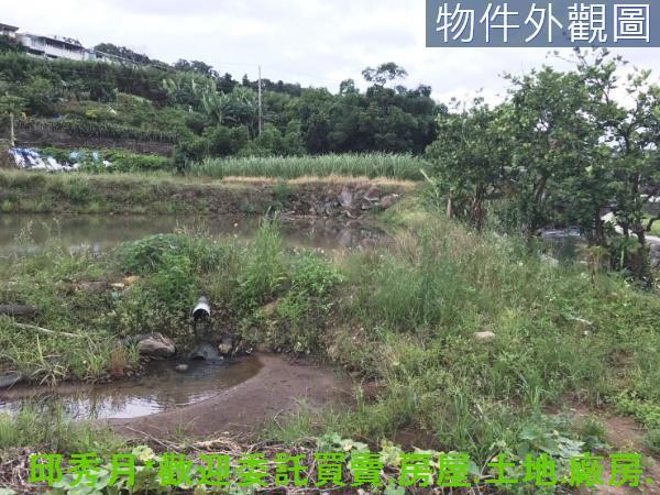 新北淡水農地-3