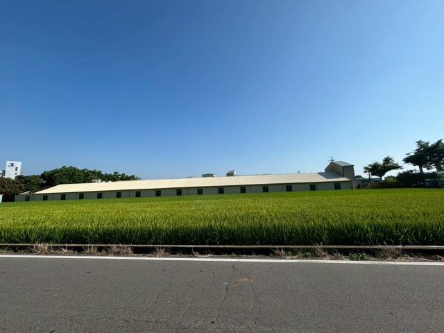 東森房屋大雅中清店10米活路方正田