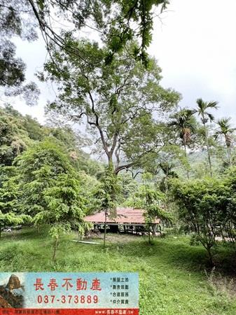 8D270頭屋農牧林地