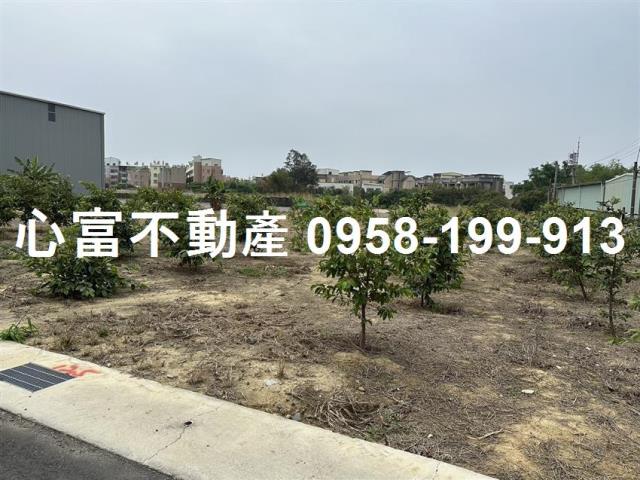 湖內農地-0