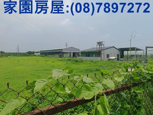 新埤農地-3