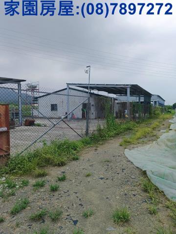 新埤農地-4