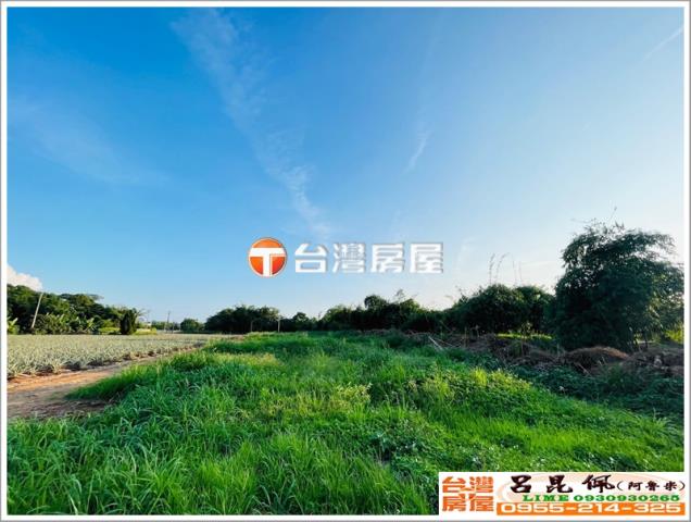 嘉義農地-1