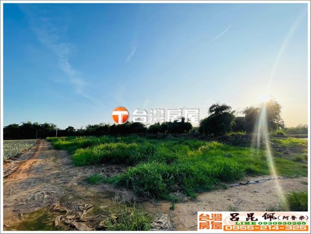 嘉義農地-2