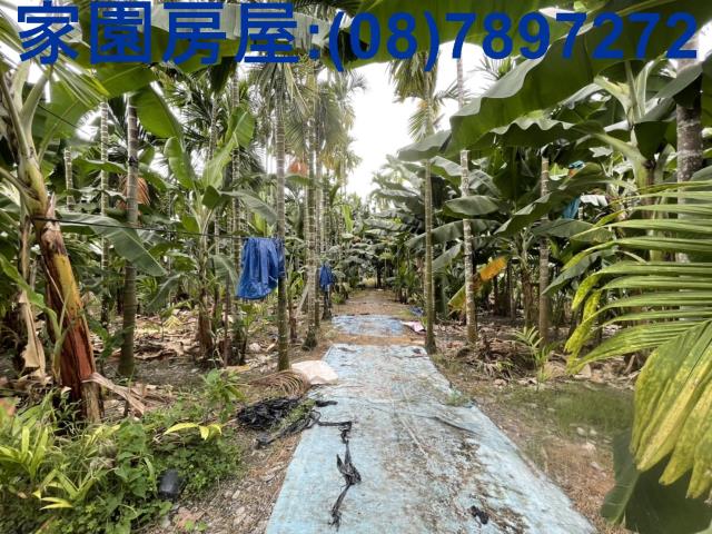 潮州農地-1