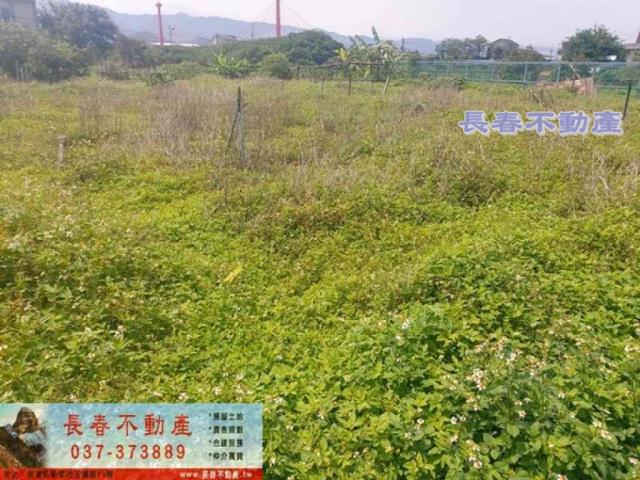 苗栗苗栗市農地-0