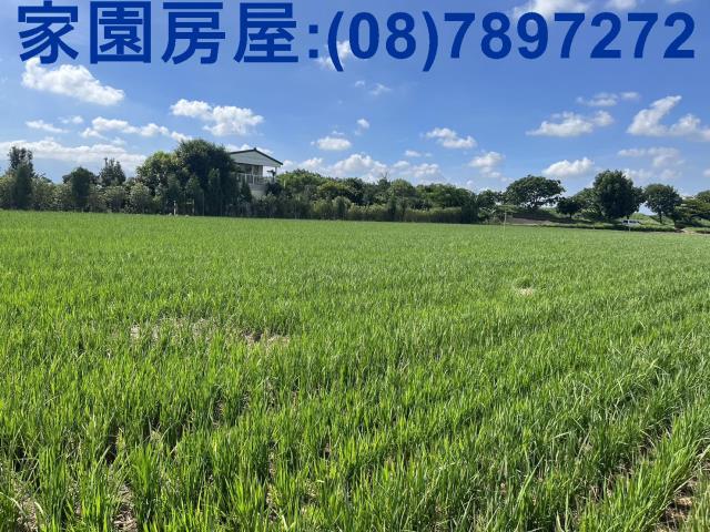 屏東萬丹農地-0