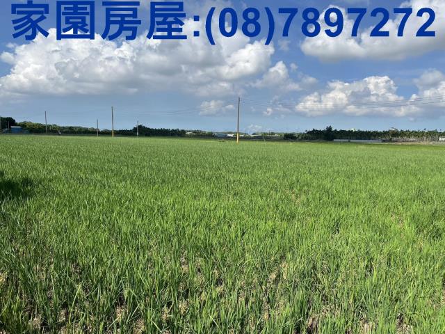 屏東萬丹農地-1