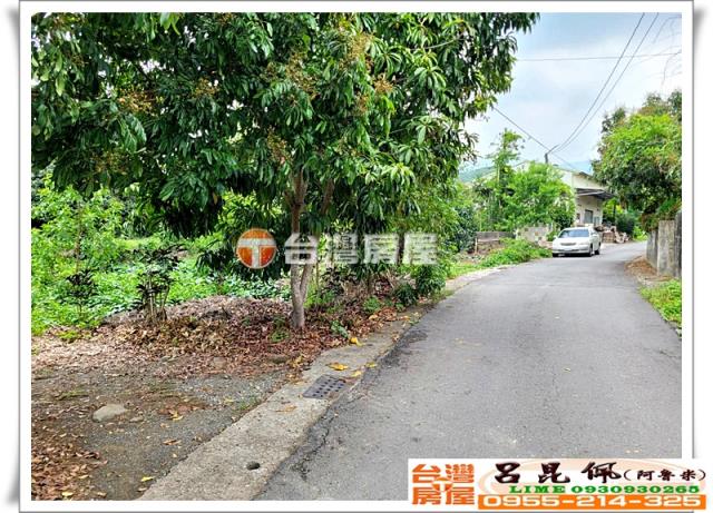 竹崎農地-9
