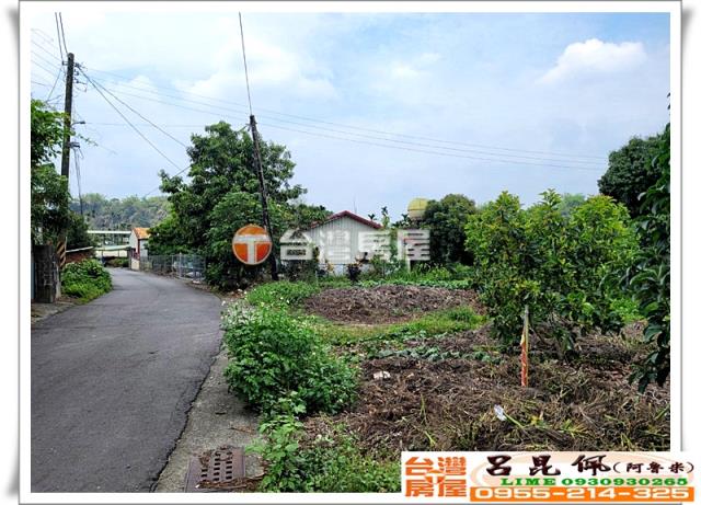 竹崎農地-1