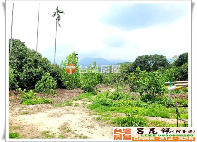 竹崎農地-7