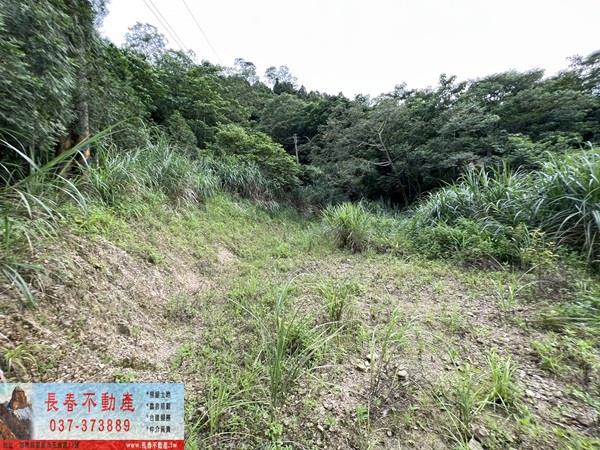 苗栗農地-5