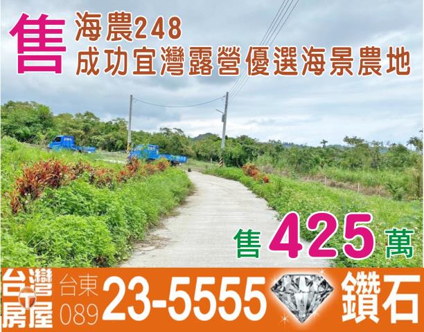 台東成功農地-0