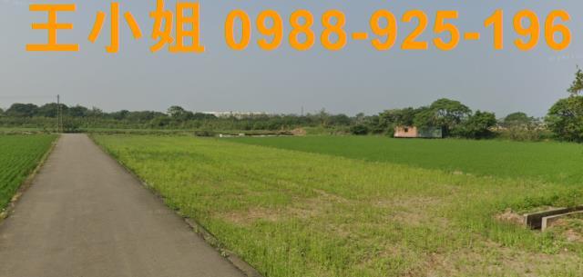 桃園新屋農地-0