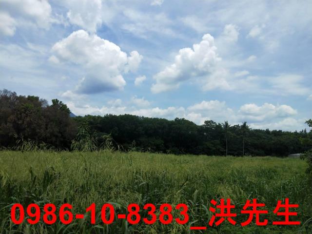 屏東農地-2