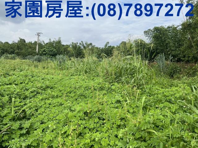屏東都外農地2