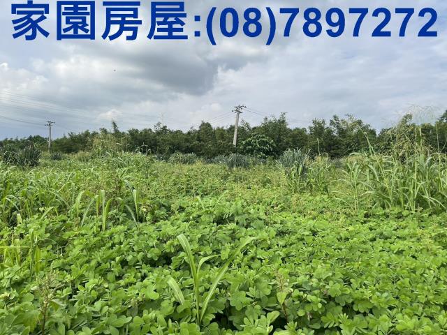 屏東農地-1
