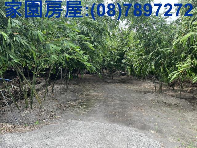 屏東農地-2
