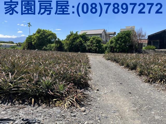 屏東潮州農地-0