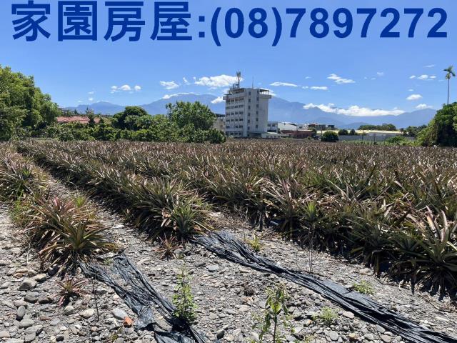 屏東潮州農地-1