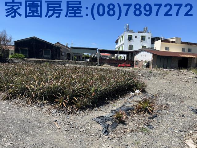 屏東潮州農地-2