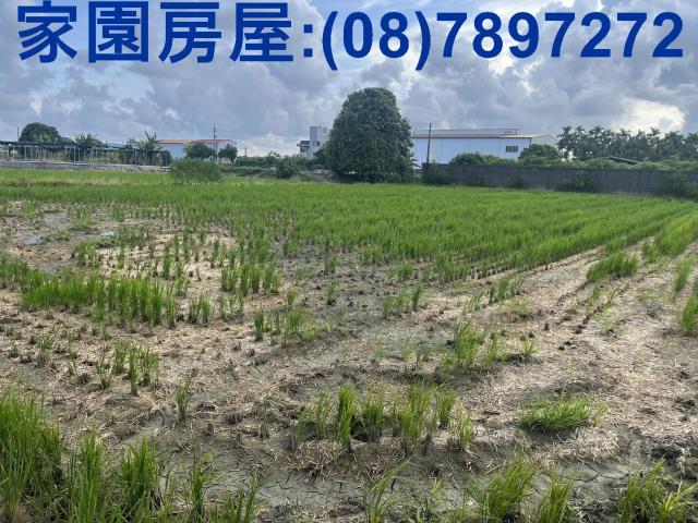 屏東萬丹農地-1