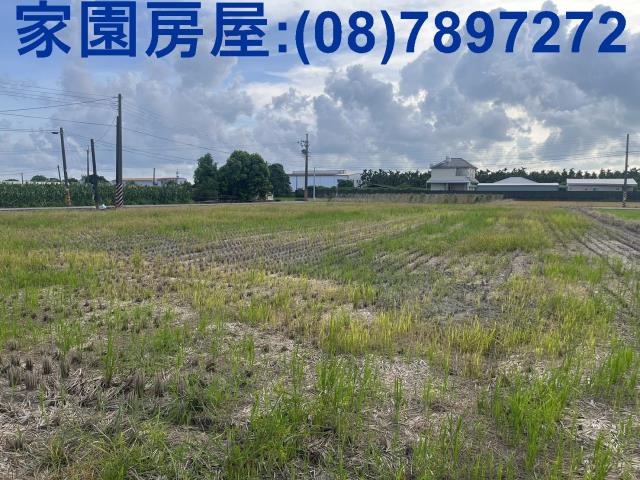 屏東萬丹農地-0