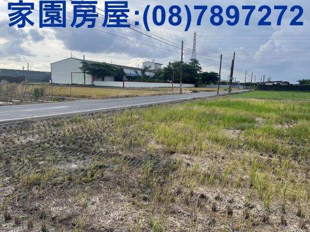 屏東萬丹農地-4