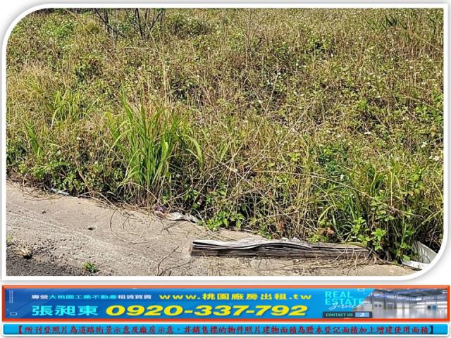 桃園楊梅工業地-1