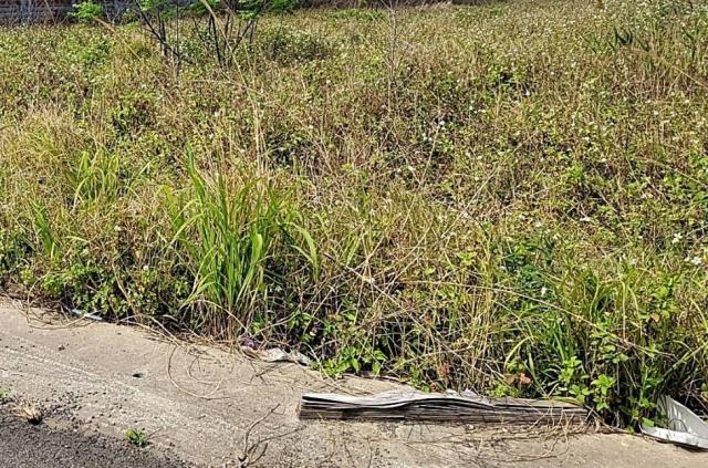 桃園楊梅工業地-2