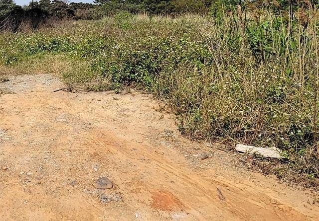 桃園楊梅工業地-3