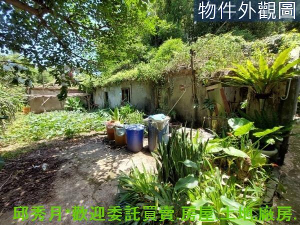 新北農地-0