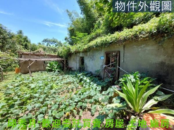 新北農地-1