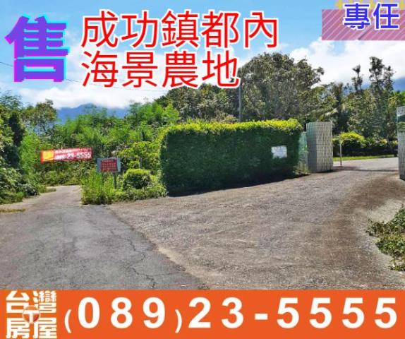 台東農建地台東房地產台東土地買賣台東房仲台東仲介