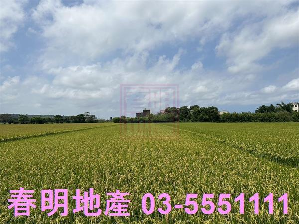 新竹新豐農地-1