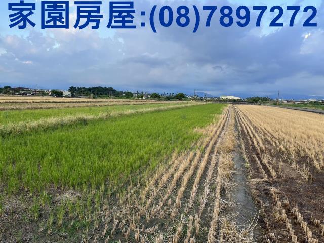 屏東農地-1