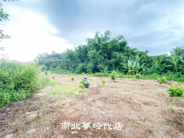 左鎮農地-11