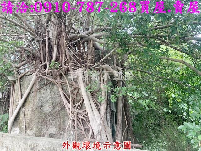 仁德農地-9