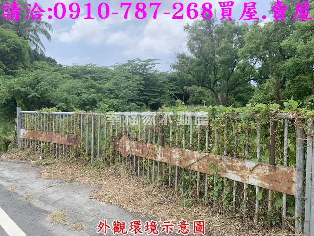 仁德農地-2